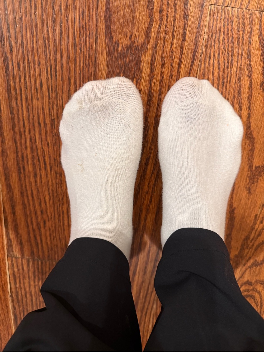 American Eagle Outfitters Women's Low-Cut Athletic Socks - White